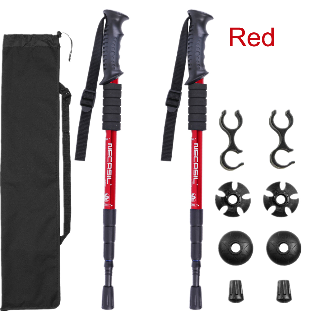Lot de 2 bâtons de trekking, b - Trekking Pole Carbon avis et prix
