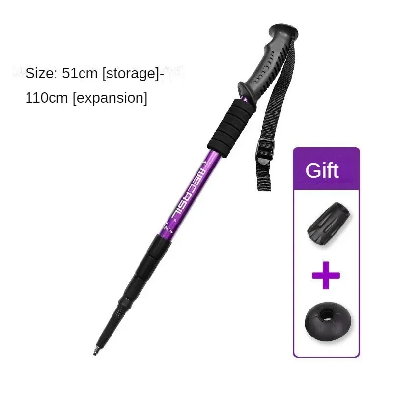 Bâtons de trekking réglables a - Trekking Pole Carbon avis et prix